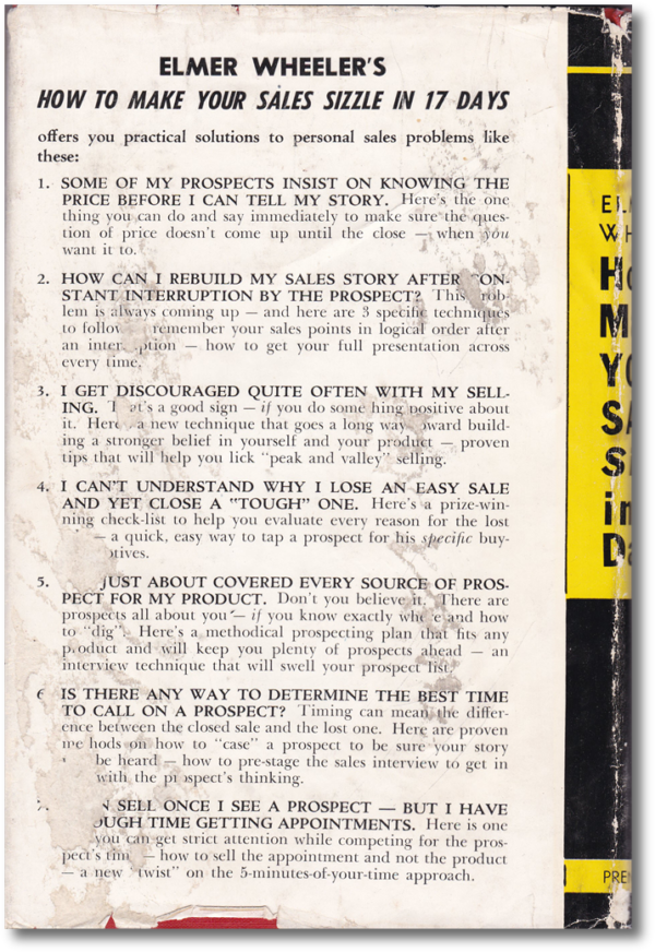 How to Make Your Sales Sizzle in 17 Days (Digital Copy) - Image 2